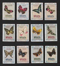 POSTER STAMPS BUTTERFLIES PAPILLONS MARIPOSAS FARFALLE SCHMETTERLINGE KOHLER