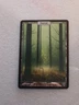 Magic the Gathering MTG- Forest- NM/LP- 140/140- Unhinged