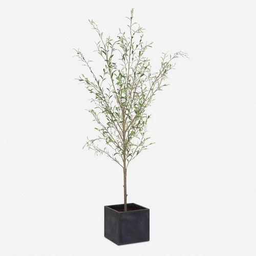 Uttermost Abundance Potted Olive Tree - Picture 1 of 4
