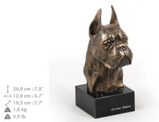 مقتنيات Boxer (cropped),