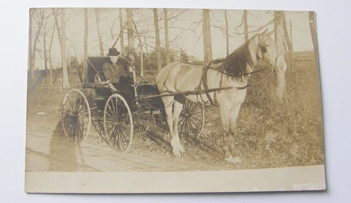 e1219:: RPPC ca.1910 Gentleman in Buggy drawn by a roan Horse.