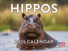 Hippo Calendar 2026 Hippopotamus Hippos Monthly Wall Calender 12 Month