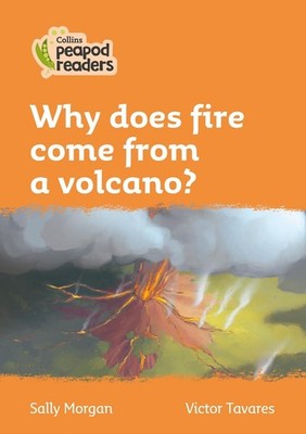 Why does fire come from a volcano?: Level 4 by Sally Morgan (English) Paperback 