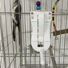 2 Pcs Bird Cage Feeding Device Parrot Fruit Vegetable Skewer Food Holder Clips