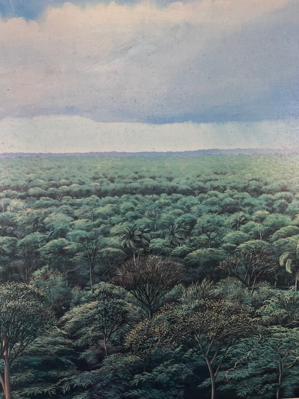 TOMÁS SÁNCHEZ. Engraving. Serigraphy. Contemporary Art. Cuban Art.Master painter