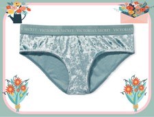 L  Aqua Sage Dust FULL VELVET RARE Victorias Secret LOGO Heart Hiphugger Pantie