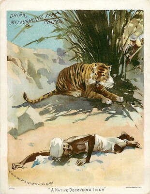 c1880s McLaughlin's Coffee - A Native Decoying A Tiger - Large Trade Card