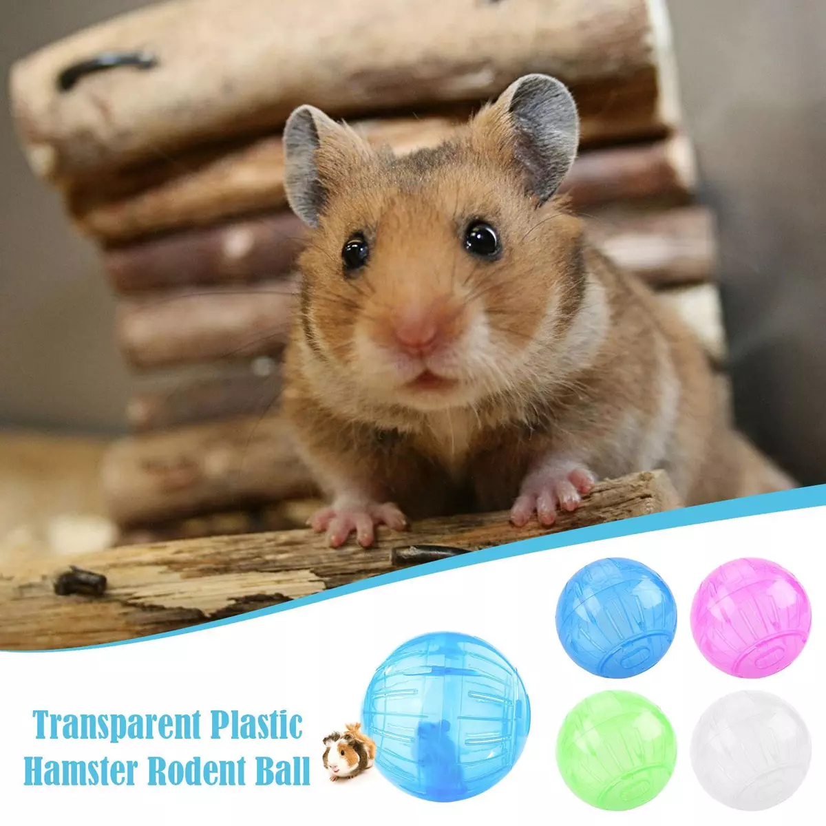Hamster hotsell ball large