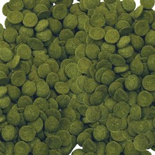 Aqueon Algae Rounds Food for all Algea Eater Fish 3oz
