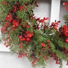Bild 8 von 13