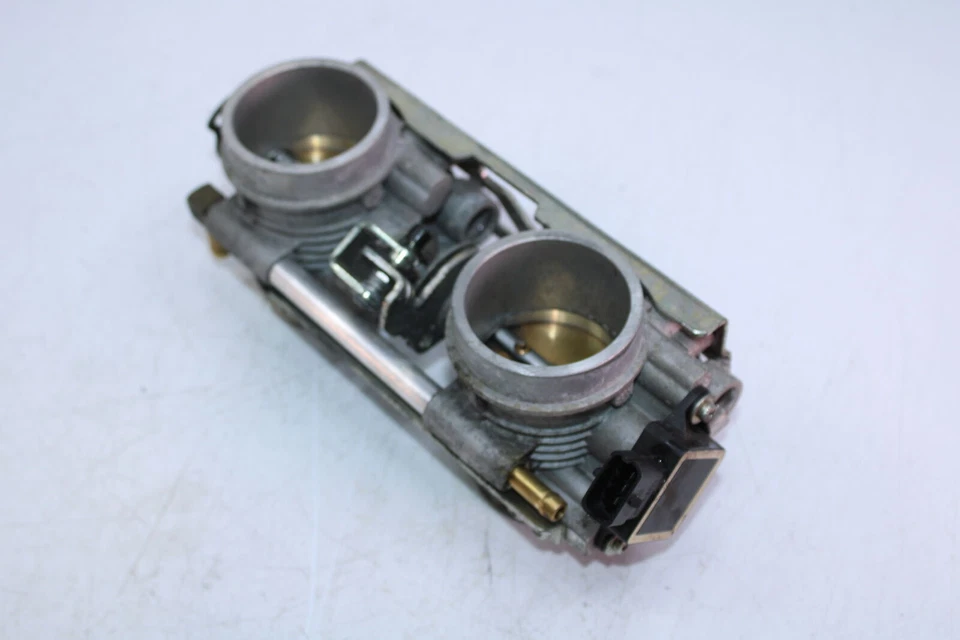 Ski-Doo Expedition 800R Xtreme E-TEC 2018 carrocerías del acelerador 420889202 Foto 2 de 4