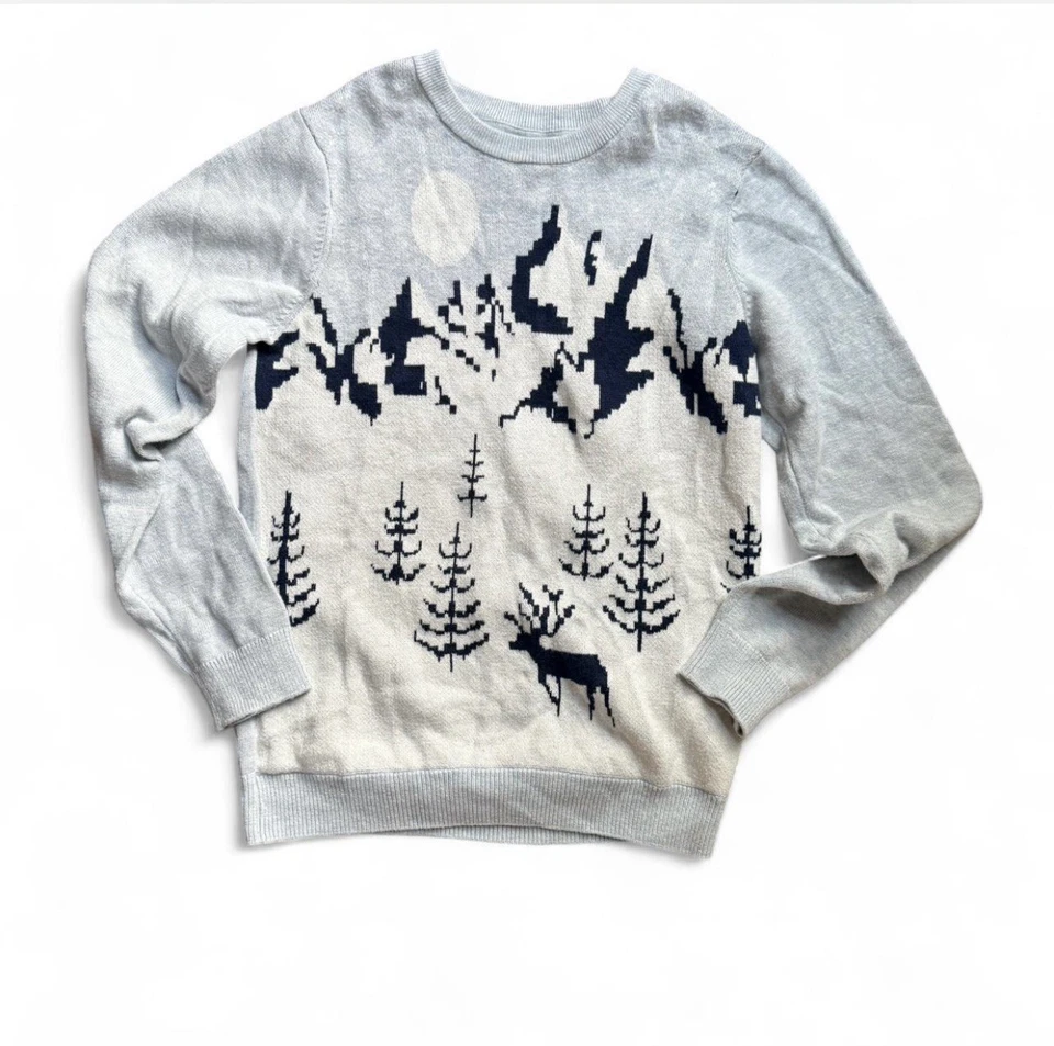 Janie and Jack Boys Winter Sweater Size 12 - Image 2 of 4