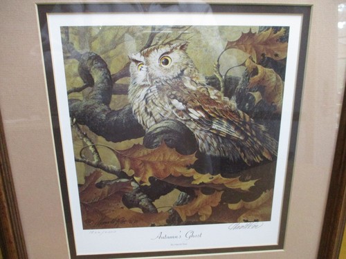 Harold Roe " Autumn's Ghost " Owl Print Framed,Signed & Numbered 1822/2000 - Picture 2 of 11