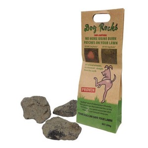 dog rocks safe