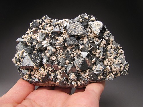 Magnetitkristalle auf Matrix Cerro Huanaquino Potosí Bolivien - Bild 2 von 7