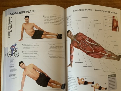 Massage Anatomy A Comprehensive Guide & Anatomy Of Cycling Paperbacks. - Picture 12 of 18