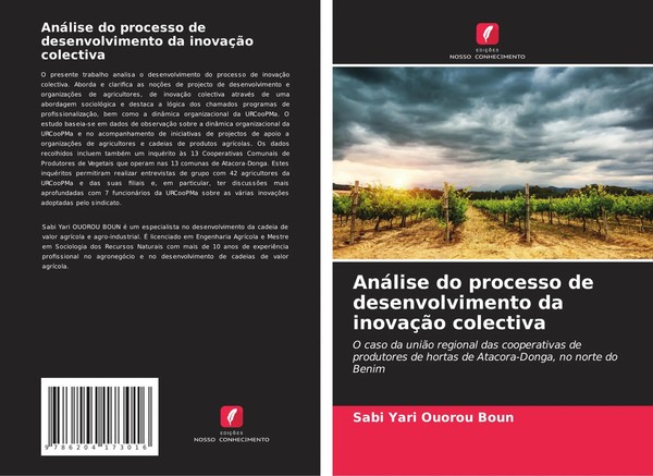 Sabi Yari Ouorou Boun | AnáLise Do Processo De Desenvolvimento Da InovaçãO...-image