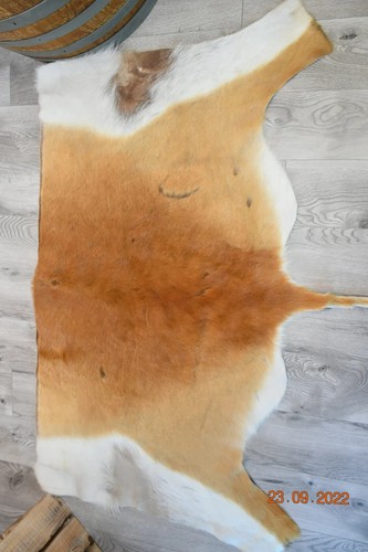 Deer Antelope Skin S-3 57"x 31" - Picture 2 of 3