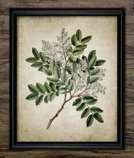 Green Leaves Print, Vintage Botanical Wall Art, Woodland Tree Branch Nature