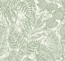 YK72116_Scott Living3 Trailing, Botanical Cream Grey Fine Decor Wallpaper