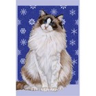 Pipsqueak Productions C546 Ragdoll Cat Christmas Boxed Cards - Pack of 10