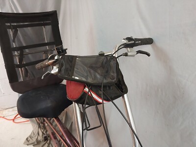 2010 Sun EZ Sport ZX Recumbent Cruiser Bike Adjustable Size