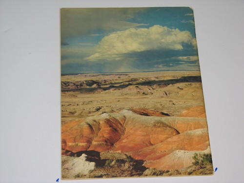Arizona Highways Magazine August 1951 - Imagen 5 de 5
