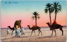 People Camels Desert Middle East or Africa Palm Trees Unused Postcard H67
