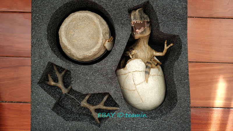Rebor The Hatchling T-Rex Baby Rudy Tyrannosaurus Rex Resin