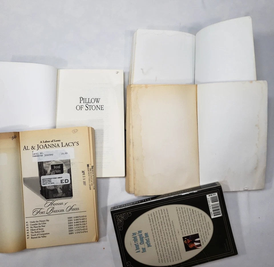 Hannah of Fort Bridger Complete Series Set 8 Books 1-8 Al JoAnna Lacy Paperbacks Foto 2 de 4