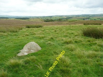Foto 12x8 Boulder on Gregory, Newby Green Close\/SD7269 c2016