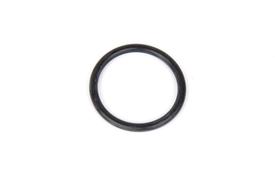 FORD ECOSPORT MK2 BK Water Connection O-Ring 5198199 W715775-S300 