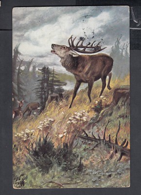 GERMANY ALSACE 1916/7 FOUR WWI FELDPOST POSTCARDS/COVER W