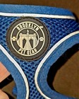 Brooklyn Pet Gear S Dog Harness Blue Size SMALL Polyester Mesh Outdoors Summer — photo 3
