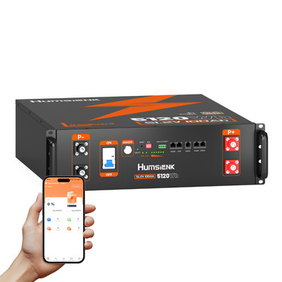 LiFePO4 48V 100Ah Rack Lithium Batterie BMS 100A Bluetooth Solaranlage Speicher