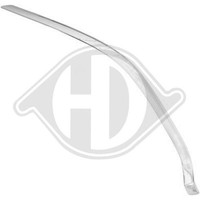 Zier /Schutzleiste StoßFäNger Diederichs 6607163 FüR Toyota Vorne Links