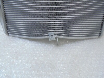 Kawasaki ZX-6R (ZX600) 2009-2022 Radiator Assy New 39061-0149