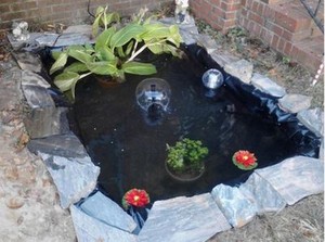 Backyard Pond Kit In Ground Water Liner Fish Garden Zen Koi Pool