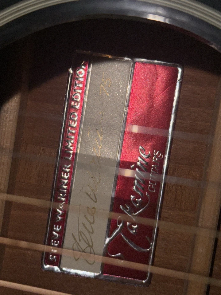 Guitarra Eléctrica Acústica Takamine Steve Wariner Edición Limitada Foto 4 de 4