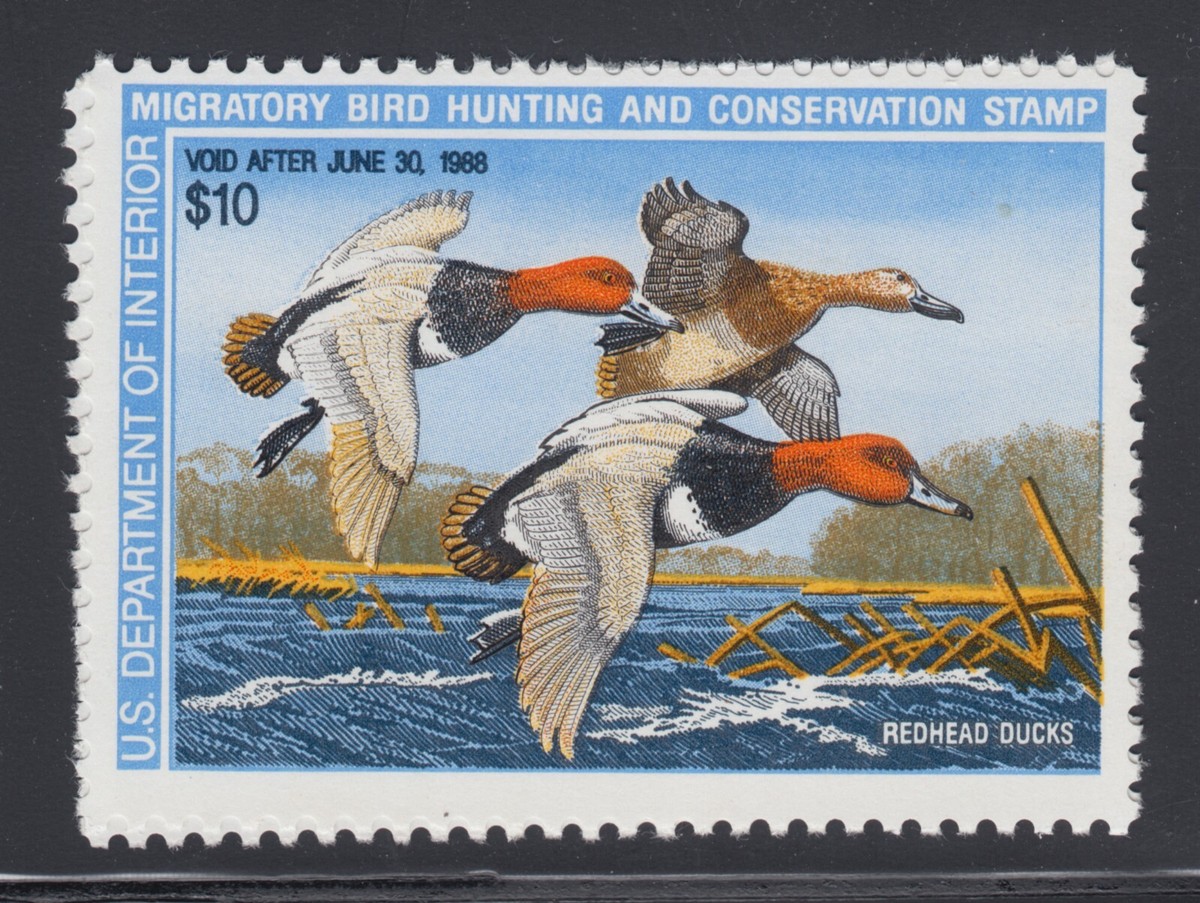 US Sc RW54 MNH. 1987 $10 Redhead Ducks, short perfs at top, Duck