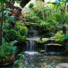 Custom Tropical Garden Design - Detailed Plant List & Support