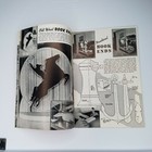 Bild 8 von 11