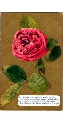 Red Rose Photogravure Postcard 1910s Aunt Adelaide Message Series No 68