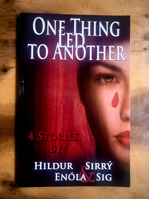 HILDUR ENOLA & SIRRY SIG One Thing Led To Another PB 2013 / Iceland Nordic Noir