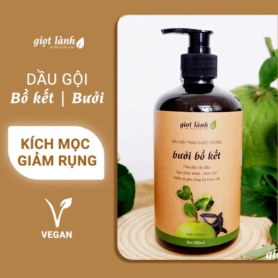Dau Goi   Buoi Bo ket Ngan  Ngua Rung Toc, Kich Thich Moc  Toc - Giot  Lanh