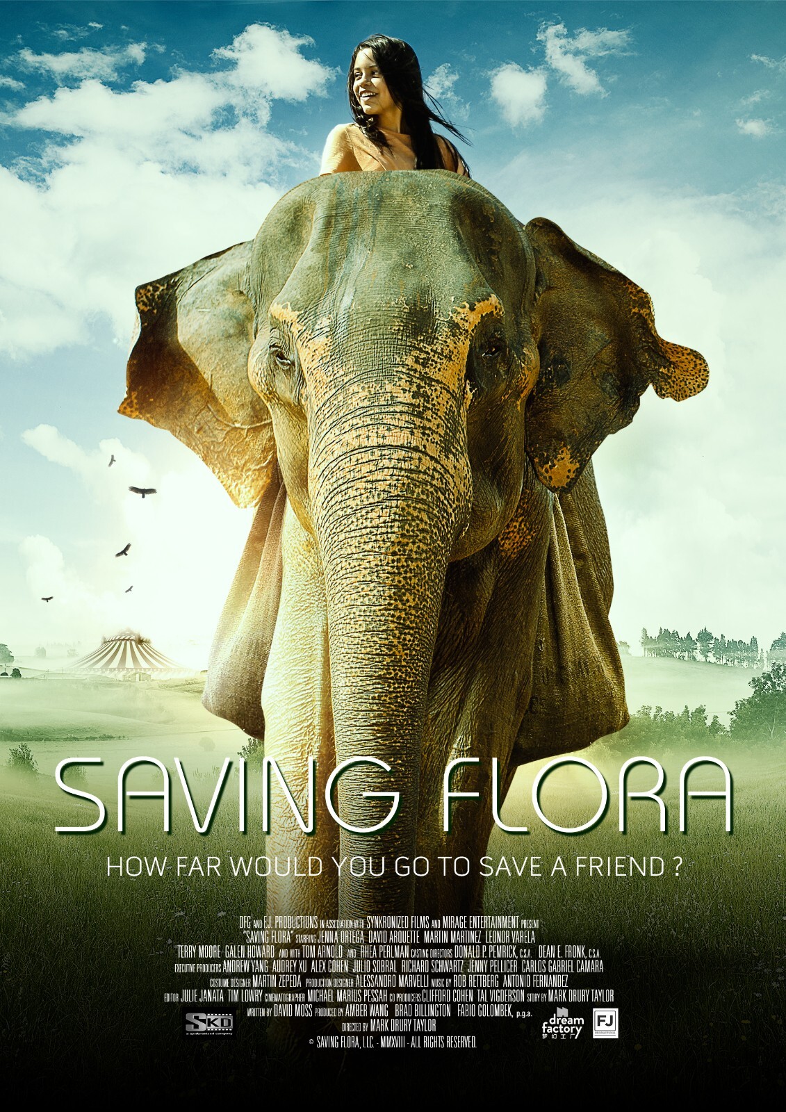 Saving Flora movie poster (b) - 11 x 17 inches - Jenna Ortega poster