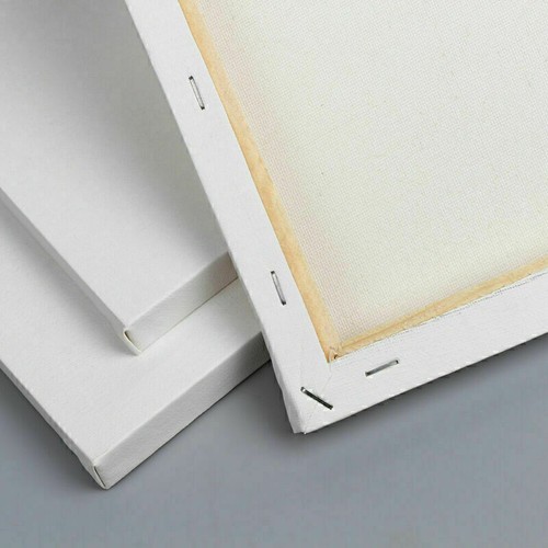 Canvas Frame for Acrylic Oil Painting Watercolor Board DIY Blank Framed Plate - Picture 43 of 79