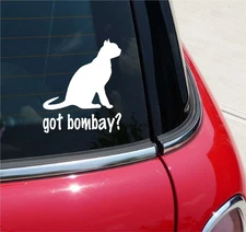 GOT BOMBAY? CAT GRAPHIC DECAL STICKER ART CAR WALL