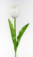 KüNstliche Tulpe Pu Real Touch 50Cm Weiß Zf Kunstblumen KüNstliche Blumen Tulpen