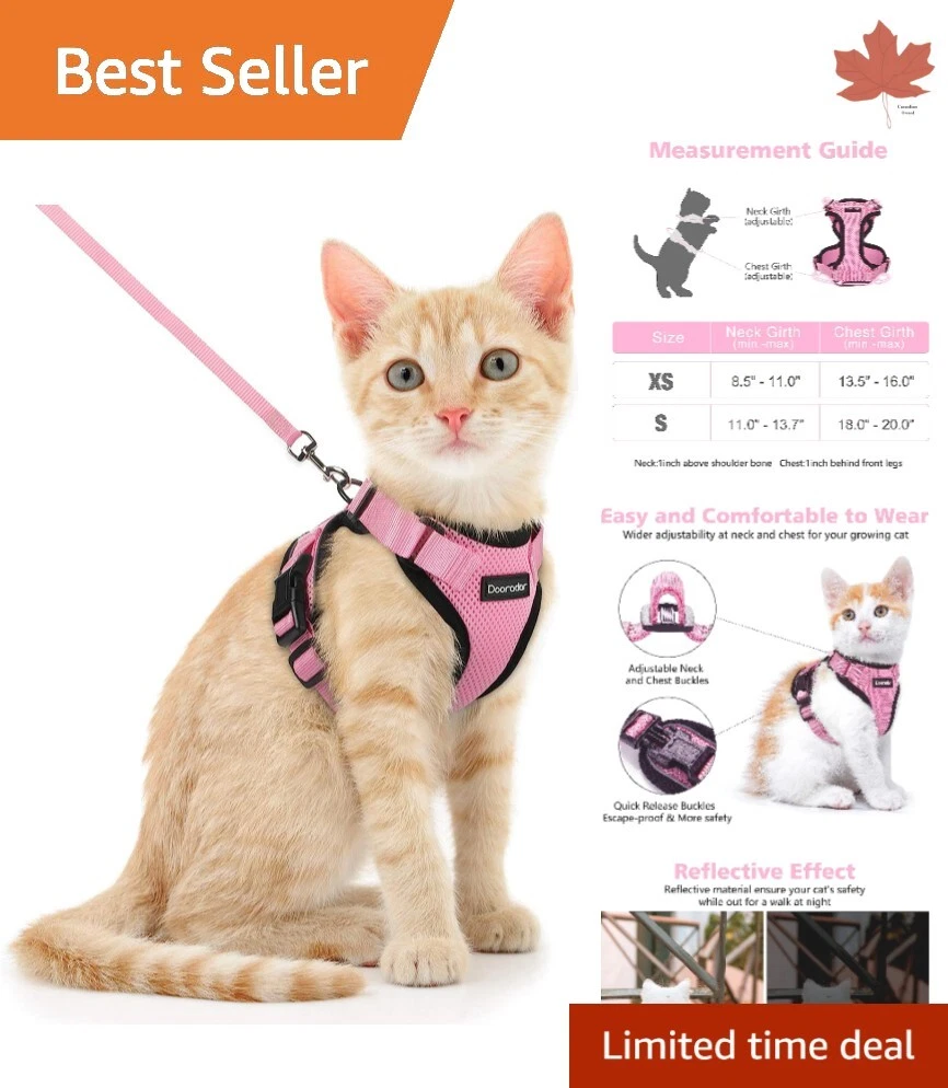 Best escape top proof cat harness